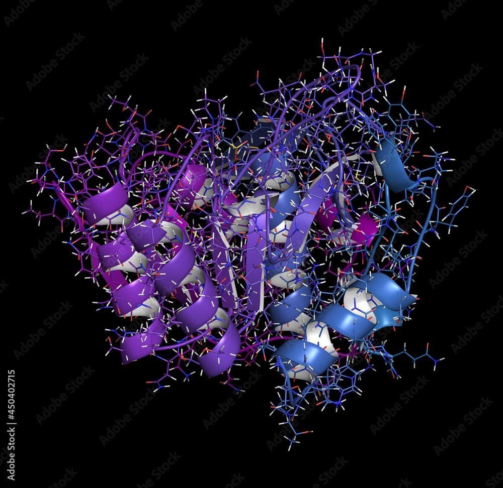 Nattokinase enzyme